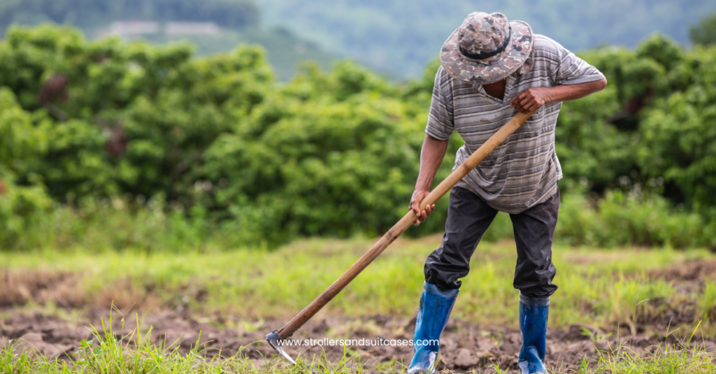 A local farmer working the soil with a hoe—Kona’s authentic side where fresh produce and handmade gifts await.