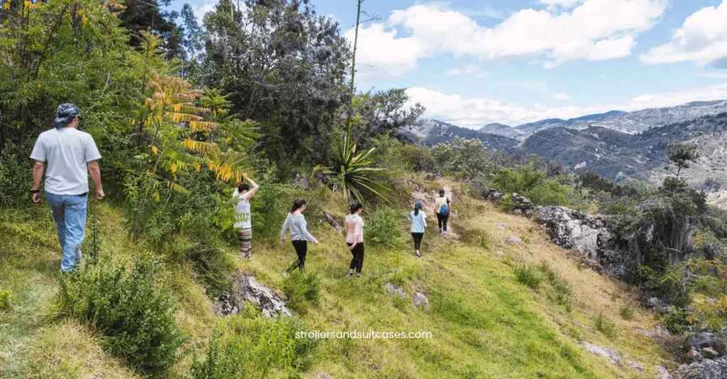 Hiking group in lush green mountain trail – perfect for nature-loving families exploring scenic paths with kids.