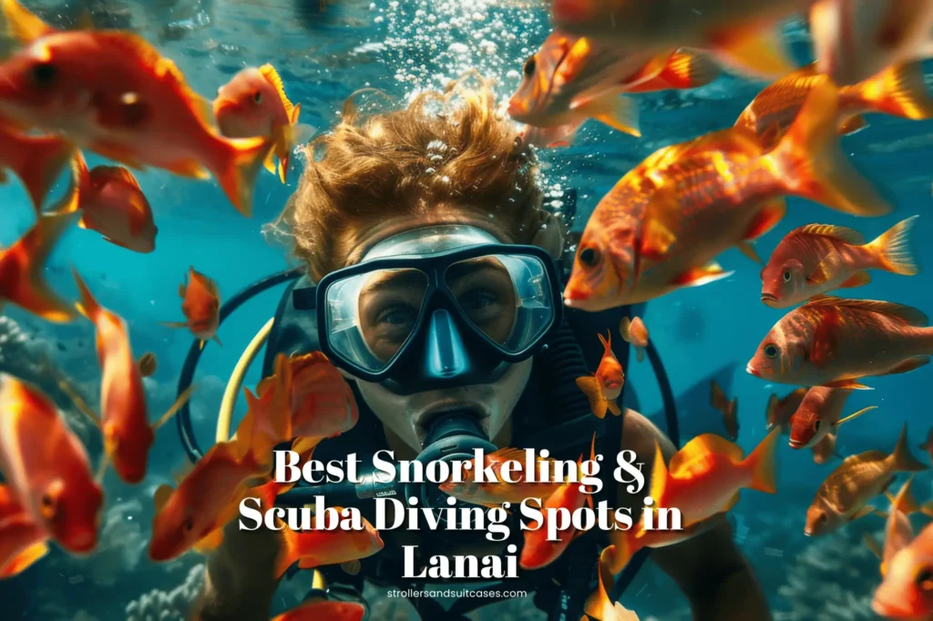 Best Snorkeling & Scuba Diving Spots in Lanai