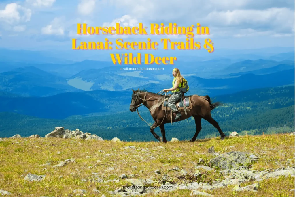 Horseback Riding in Lanai: Scenic Trails & Wild Deer
